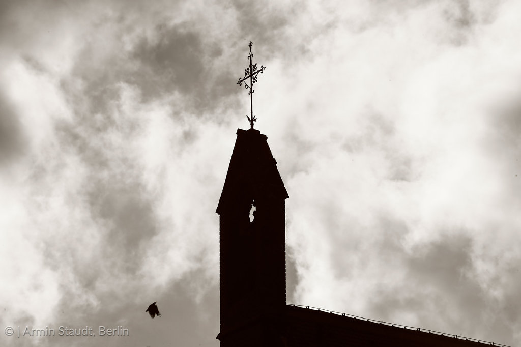 silhouette of a steeple with flying pigeon